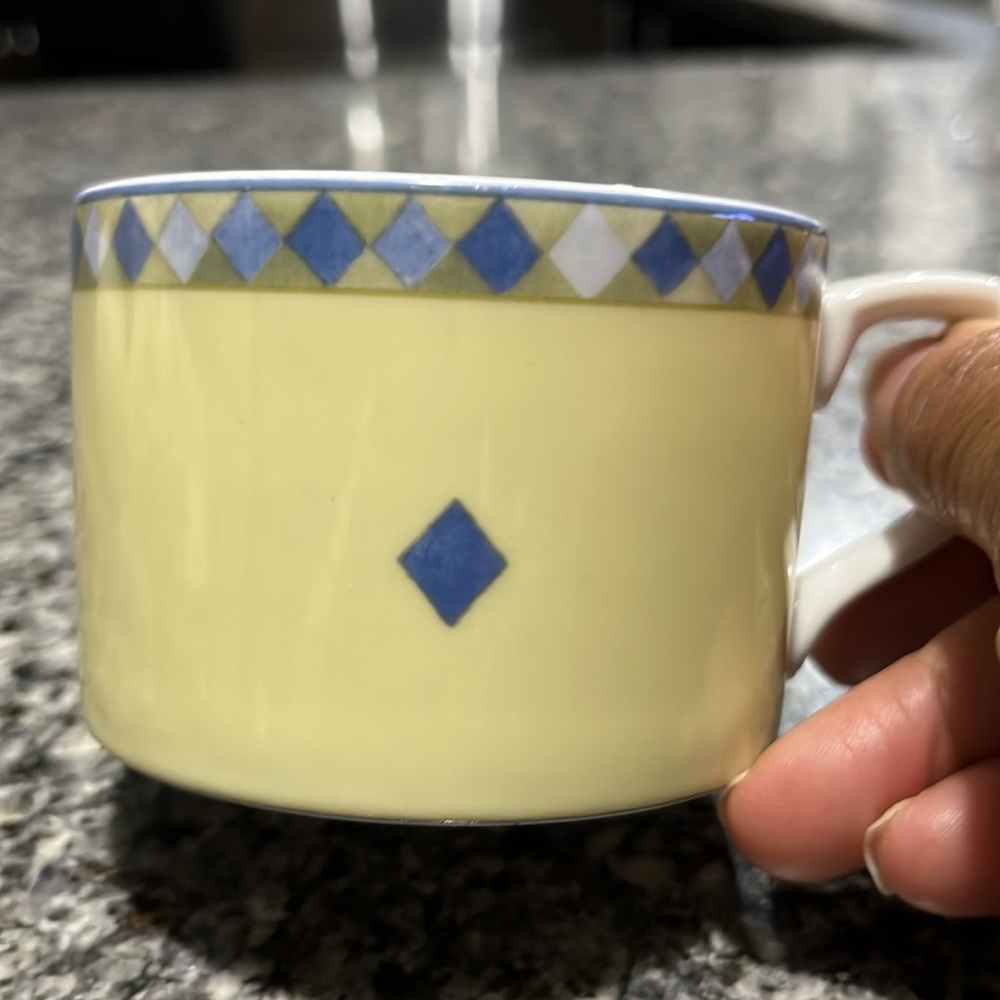 Royal Doulton Flat Tea Cup “ Carmina “ Pattern